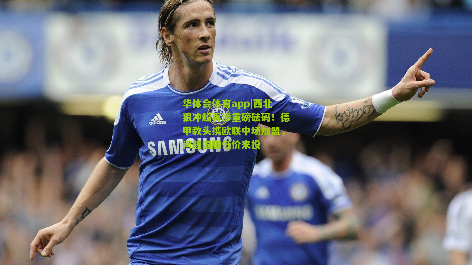 西北狼冲超再添重磅砝码！德甲教头携欧联中场加盟，问题国脚低价来投
