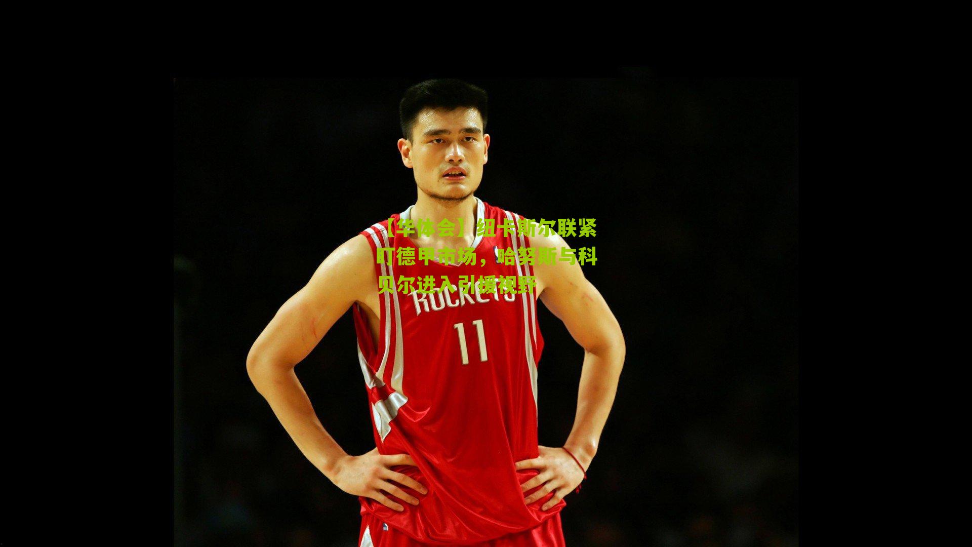 纽卡斯尔联紧盯德甲市场,哈努斯与科贝尔进入引援视野