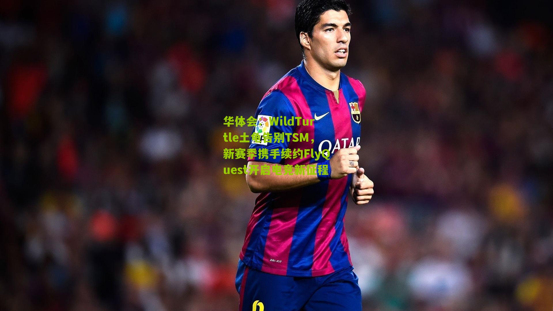 华体会：WildTurtle土龟告别TSM，新赛季携手续约FlyQuest开启电竞新征程